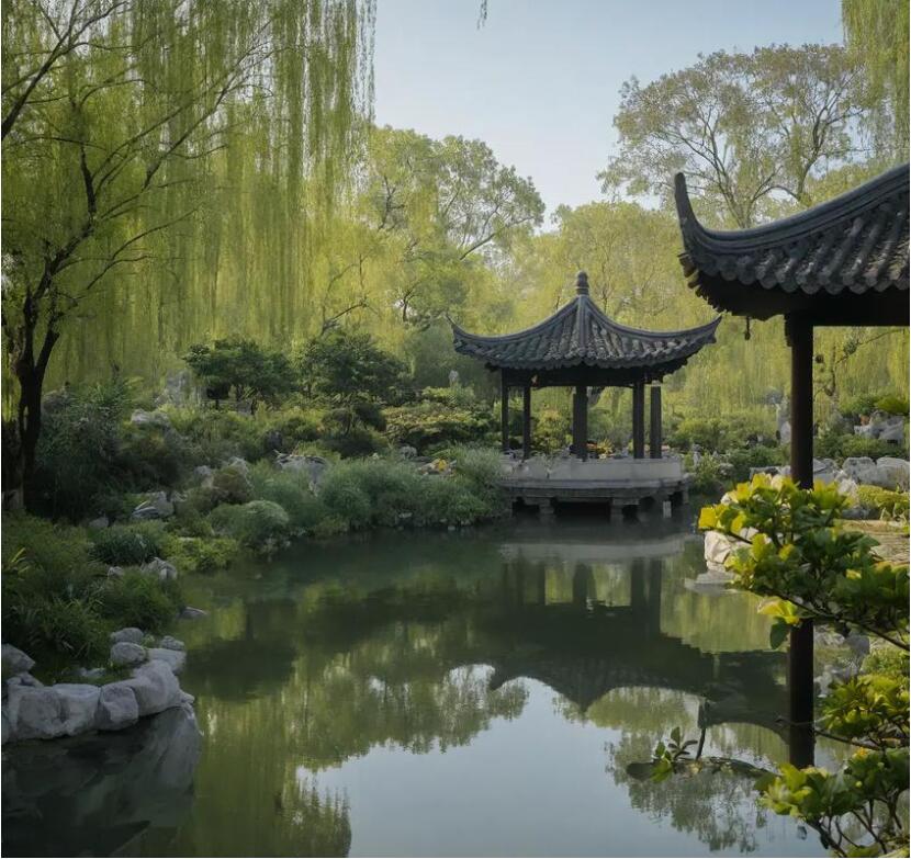 桥西区雨双航空航天有限公司